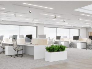 Alternativas Sostenibles de Bambú para Reducir Costes Operativos y Cumplir con Normativas Internacionales